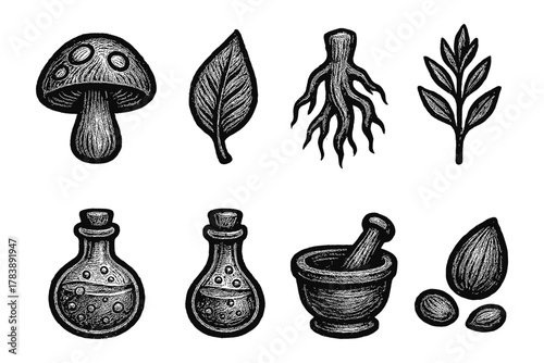 Vintage herbal elements and alchemy bottles set in sketch style for design projects