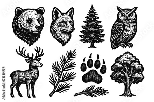 Woodland wildlife and nature elements in vintage woodcut style