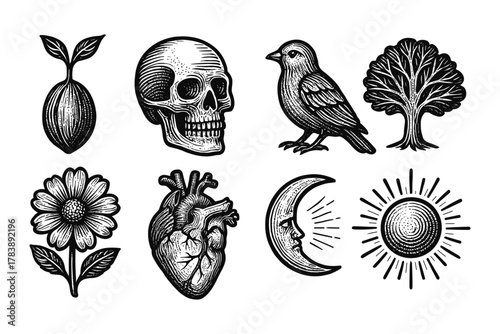 Vintage tattoo-inspired nature and anatomy elements in black line art style