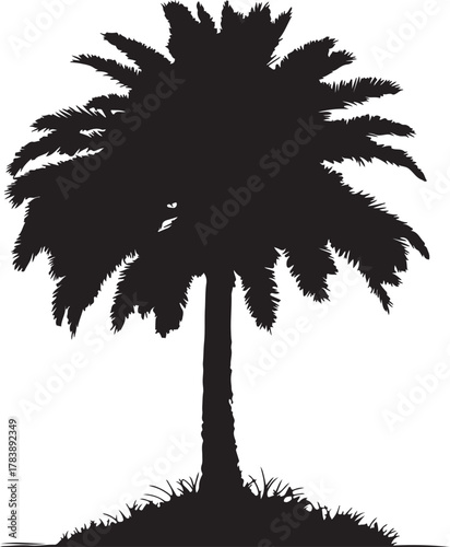 Silhouette of a palm tree with a dense canopy and grass