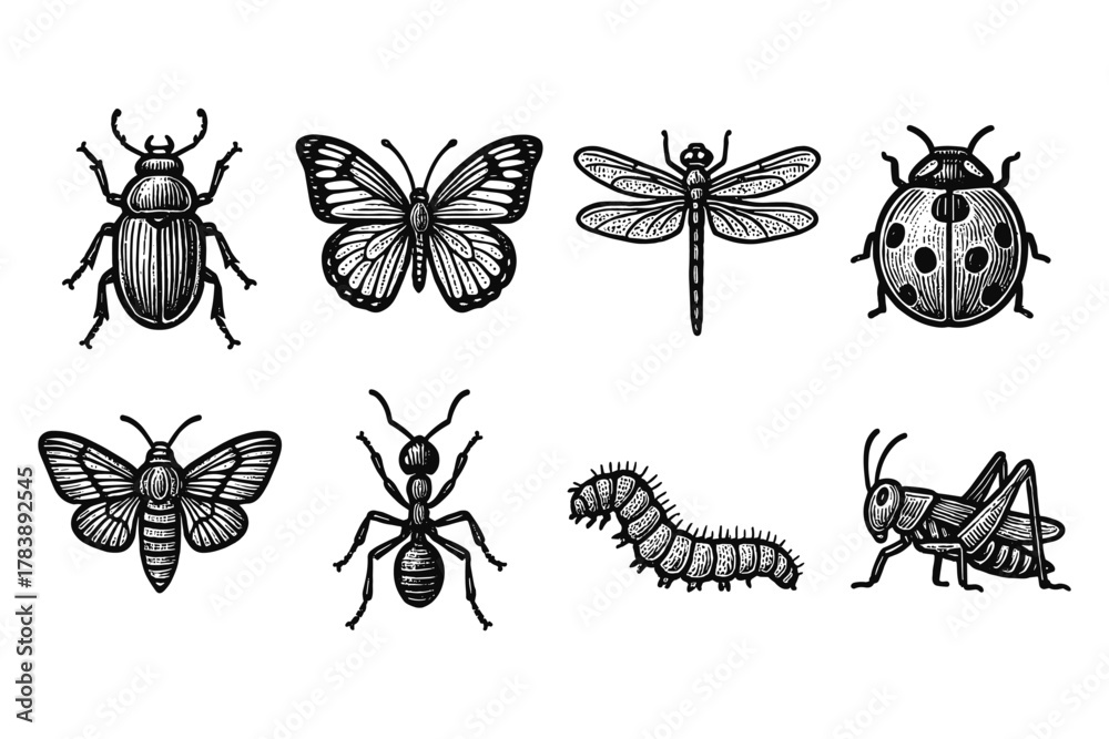 Obraz premium Vintage insect collection with butterfly, beetle, dragonfly, ant, caterpillar, and cricket