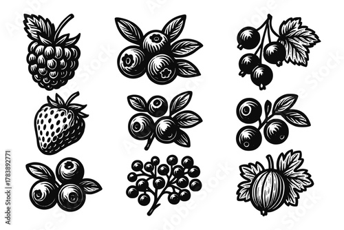 Hand drawn berry collection featuring blueberries, raspberries, strawberries, currants, and gooseberries