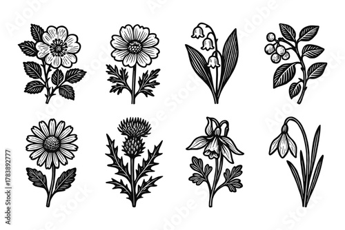 Intricate black and white floral designs featuring eight distinct botanical elements