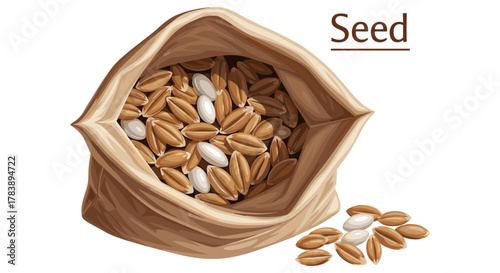 Burlap sack filled with seeds and grains on white background