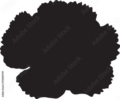 Monochrome Silhouette of a Single Hydrangea Flower Head on White