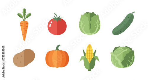 Colorful flat vegetables set with carrot tomato cabbage and more
