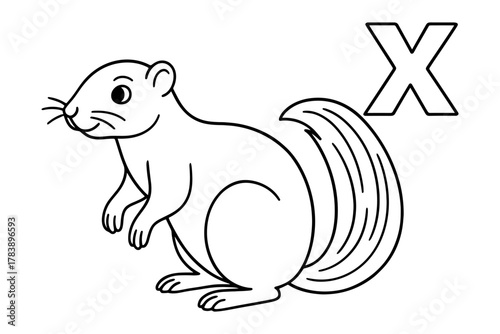 Alphabet coloring page featuring an adorable squirrel with letter x