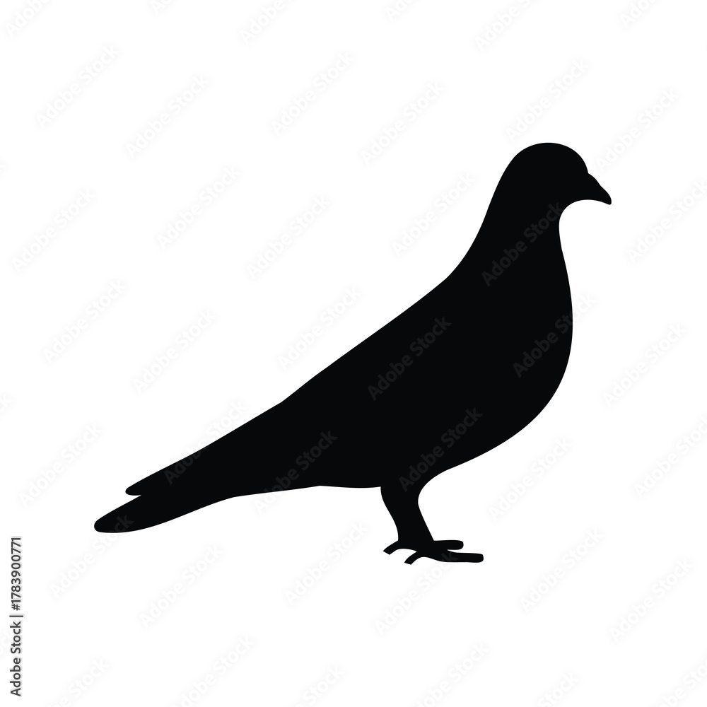 Fototapeta premium Black Dove or Pigeon Silhouette Vector Illustration Standing on White Background, Ideal for Logo, Icon, or Graphic Design Element
