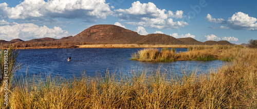 lake, dam at Mokolodi Nature Reserve, Egyptian goose landing on water, natural african reserve , hill range, located near Gaborone, Botswana