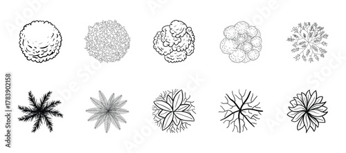 Vector tree top. Tree Top View silhouette vector element.
