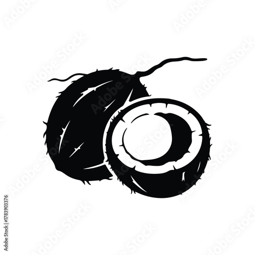 Coconut Silhouette Isolated on White Backdrop Delicious Refreshing Tropical Fruit Ingredient Vegan Vegetarian Source Vitamins Minerals Vector