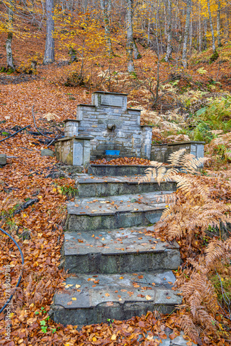 Traditional Stone-Built Fountain or Spring (Vrisi) with Stone Steps, Surrounded by a Carpet of Brown Autumn Leaves and Ferns in a Deciduous Forest near Samarina, Pindos, Greece