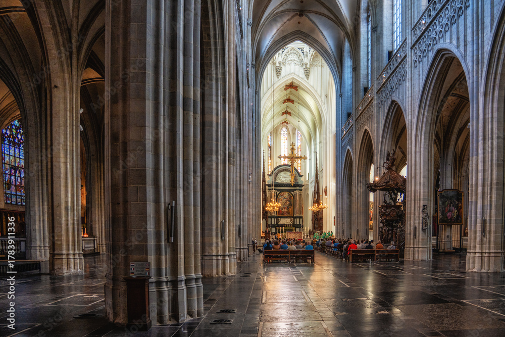 Obraz premium View down the nave of the Onze Lieve Vrouwekathedraal (Cathedral of Our Lady), Antwerp, Belgium