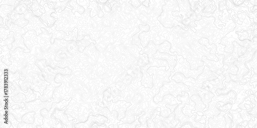 topography white background and black line wireframe isoline location diagram world map texture design. Topography banner texture white template curve concept style .