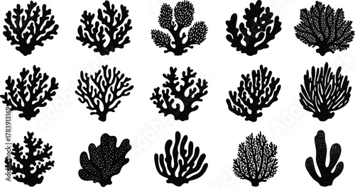 Coral silhouette set, marine shapes, ocean flora, reef design, underwater icons, black coral forms, sea life, nature illustration, biodiversity
