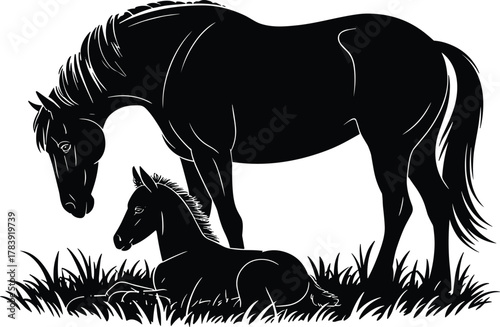 Horse, foal, silhouette, black, white, grass, nature, animal, resting, standing, bond, calm, peaceful, rural, farm, vector, illustration, pasture, parent, child