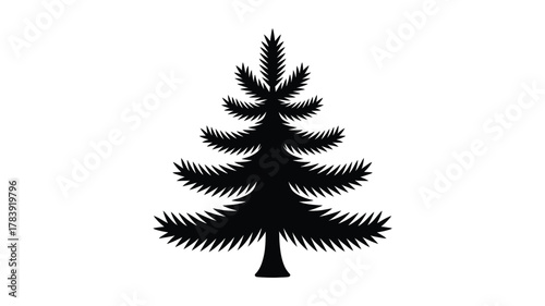 A detailed black silhouette of a coniferous evergreen tree with textured branches and a pointed top against a white background representing nature and winter