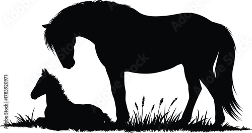 Horse, foal, silhouette, grass, nature, animal, resting, standing, black, white, peaceful, bond, rural, farm, vector, illustration, nurturing, calm, pasture, scene
