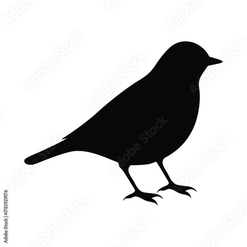 Black bird silhouette on white background