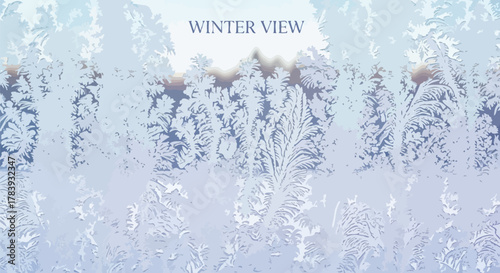 Intricate frost patterns adorn a window pane creating a beautiful winter scene