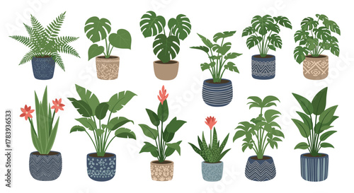Set of twelve decorative indoor houseplants in various stylish and patterned pots, including monstera, fern, and other popular green foliage.