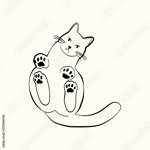 Whimsical doodle cat pose vector illustration. Cute kitten, hand drawn linear cat in different poses sitting, lying down, sleeping