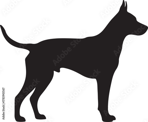 Silhouette of great danes standing dog at attention isolated on transparent area