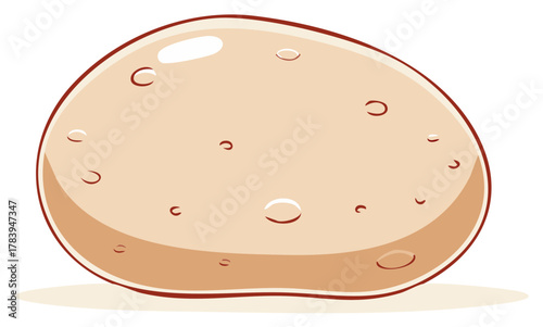 Illustration of a stylized potato root vegetable with details, isolated