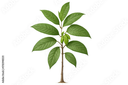 Small plant with fresh green leaves representing beginning, ecology, healthy lifestyle, and hope for a better future