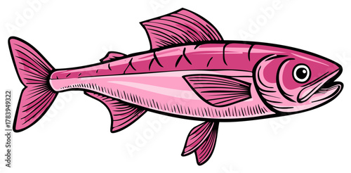 Pink fish illustration isolated, aquatic marine life animal drawing
