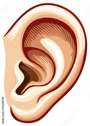 Artistic Illustration of a Human Ear Isolated on White Background