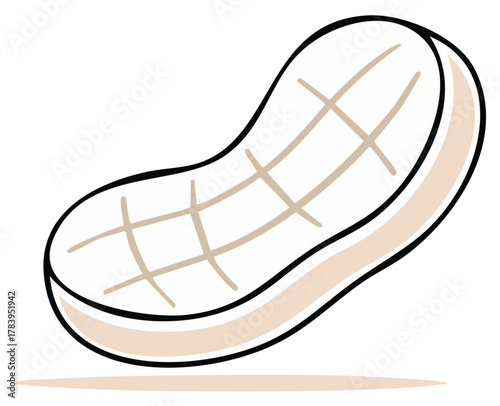 Peanut Cartoon Style Illustration Groundnut Pod Outline Drawing