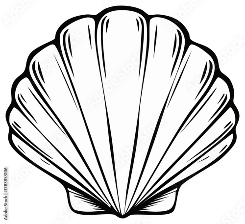 Scallop seashell black and white line art drawing vector graphic isolated