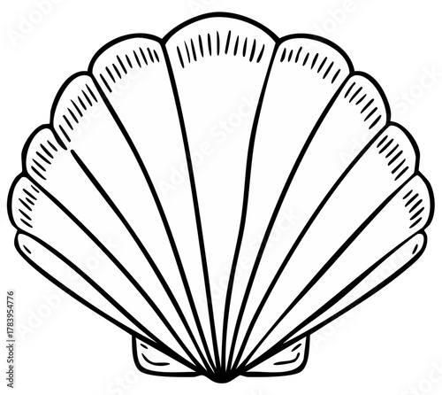 Simple black outline drawing of a scallop seashell. Minimalistic marine life illustration for design.