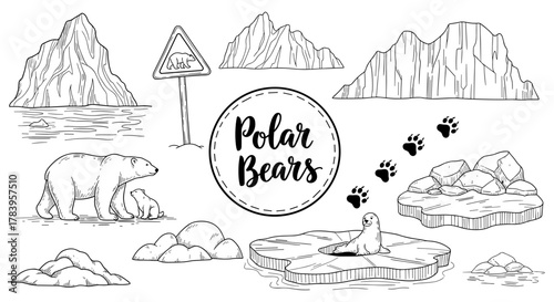 Black and white polar animals with icebergs and footprints in arctic landscape