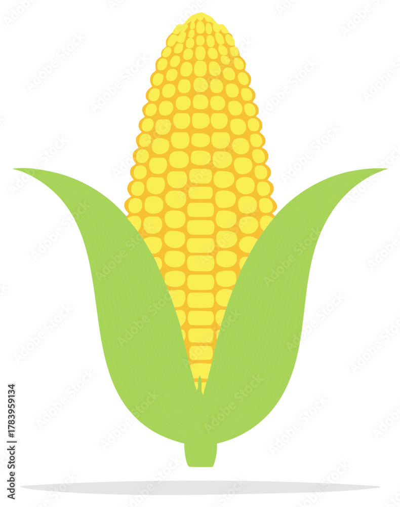 Obraz premium Vibrant Corn on the Cob with Green Husk Isolated Icon
