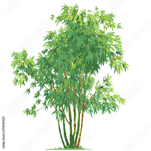 Minimal 2D flat vector of a Bamboo Tree, icon-style illustration on a white background