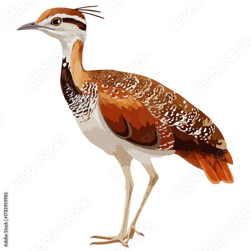 Flat 2D Bustard vector illustration, icon graphic on white background