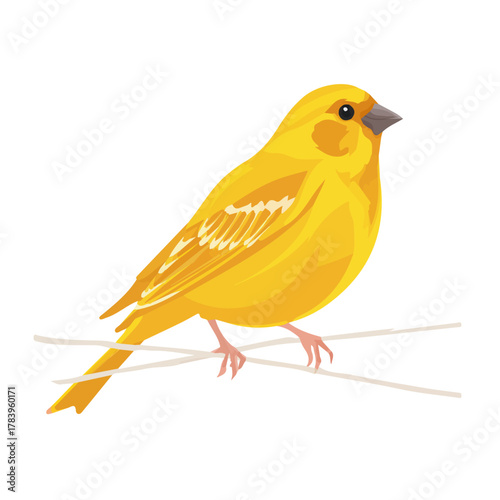 2D flat vector graphic of a Canary in icon style, isolated on white background