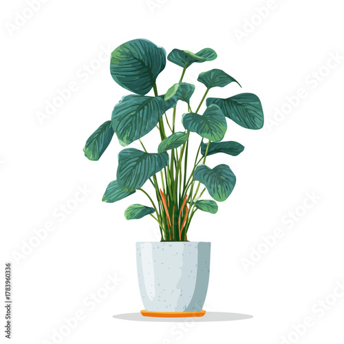 Flat 2D Cast Iron Plant vector illustration, icon graphic on white background