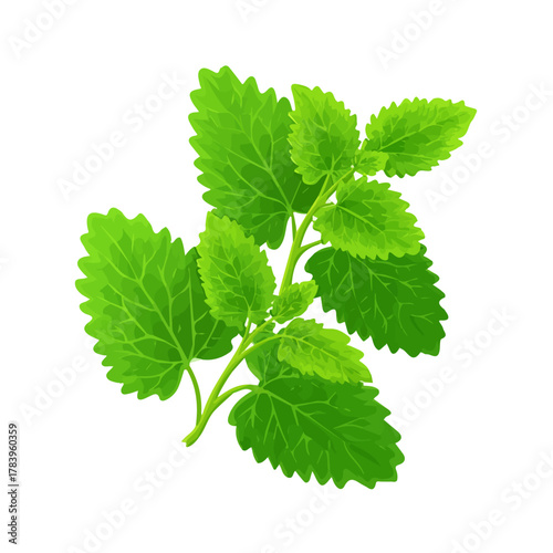 Flat 2D Catnip vector illustration, icon graphic on white background