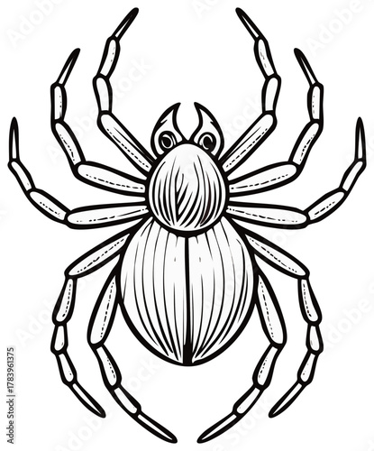 Creepy Crawly Spider Illustration with Eight Legs Ready to Pounce and Capture Prey