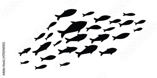a school of fish swimming in ocean.