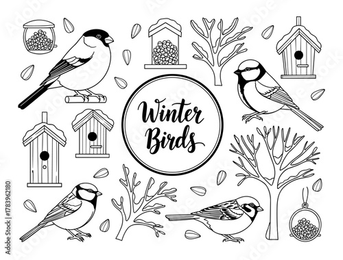 Winter birds and feeder elements in black and white linear design
