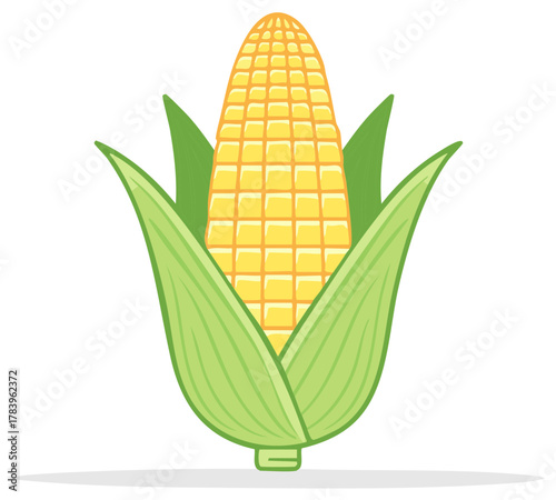 Fresh Yellow Corn Cob with Green Leaves Healthy Food Illustration