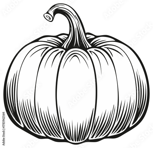 Stylized pumpkin illustration in black and white featuring ribbed texture and a prominent stem harvest decoration element