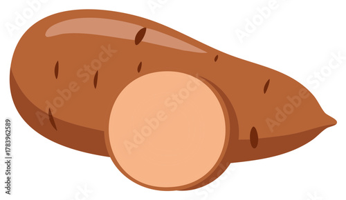 Raw sweet potato root vegetable with a cut slice vector illustration