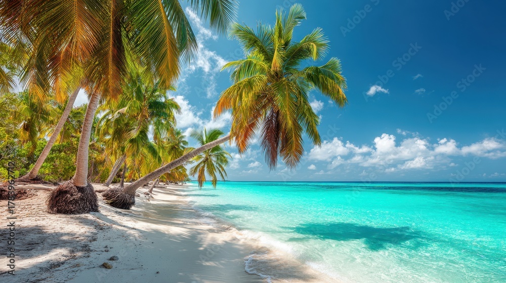 Obraz premium The scene captures a tropical beach with swaying palm trees along the shore. Gentle waves lap against the sandy beach beneath a clear blue sky, creating a serene atmosphere.