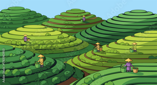 Colorful terraced hills with farmers harvesting tea on lush greenery