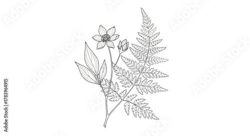 Botanical line art with delicate flower and fern foliage creates a serene, natural aesthetic for invitations, branding and artistic projects